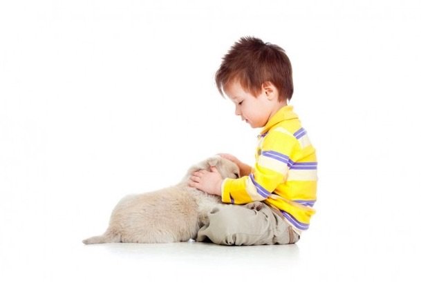 حیوانات خانگی در میزان استرس کودکان دارای اوتیسم میتواند موثر باشد